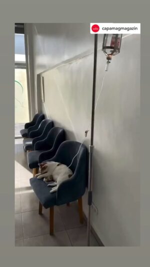Binnaz Avcı Instagram - Ahhhh ahhhh ....