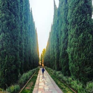 Brandon Routh Instagram - There have been very high highs, & very low lows this year. I’ve been working on being grateful for both & working to fully experience both. 
Balance is essential to life. But finding it is a challenge (maybe THE challenge). One I will continue into 2020. 🙃

Thank you 2019! Here’s to running into 2020 full speed ahead!😄👏🏻 Wishing you a more balanced, compassionate, and self-aware 2020!

#HappyNewYear2020