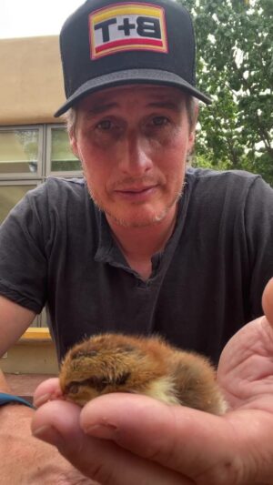Brendan Fehr Instagram - Chick update