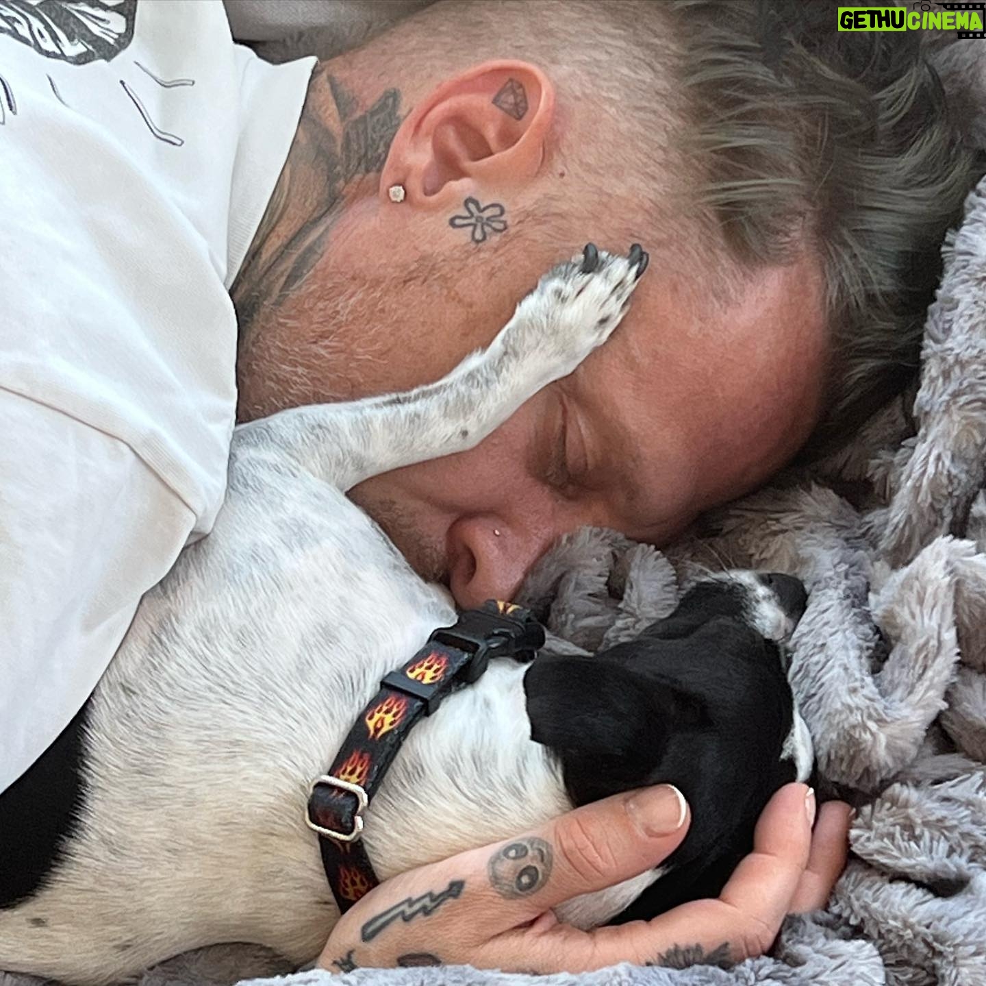 Bria Vinaite - 5.7K Likes - Happiest birthday to my future husband @mvoltaggio 🕺🏼 you make the world a better place. Today and everyday you are loved and celebrated!
