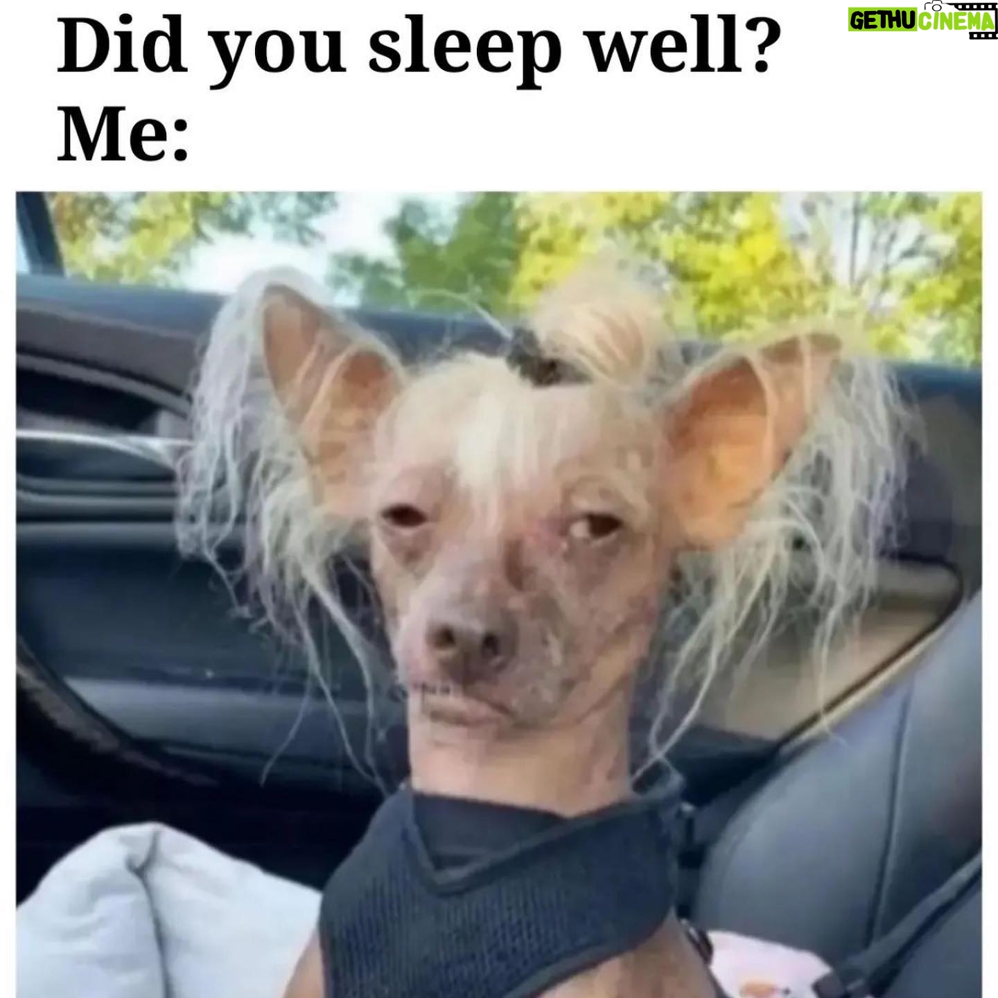 Bria Vinaite - 7.6K Likes - Summer of love and no sleep 🌝🌻💛