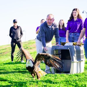 Brian Kelly Instagram - Releasing a bald eagle back into the wild after being treated at the LSU Vet School