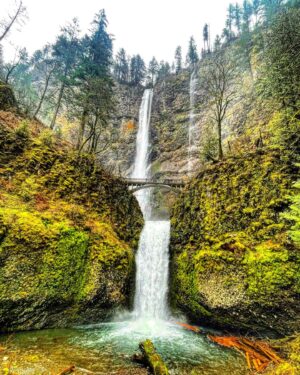 Brooks Wheelan Instagram - It’s rude not to stop here when ur in Oregon.