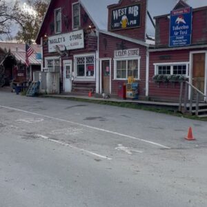 Brooks Wheelan Instagram - I saw this cat walking around and did a bit because the mayor of this town is a cat. Hours later I looked it up and turns out IT WAS THE ACTUAL FUCKING MAYOR! Im star struck. Alaska rocks.