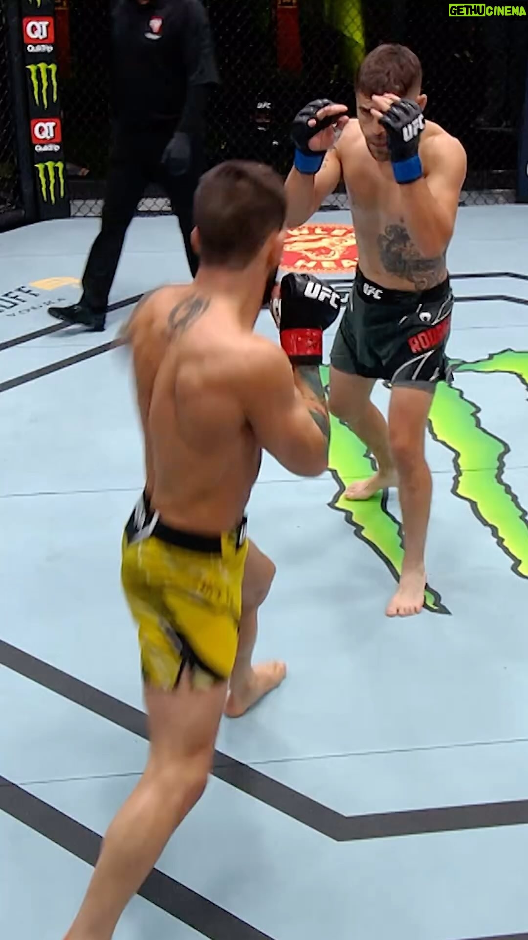 Bruno Silva - 1.2K Likes - #ufc #mma #bonusbulldog #viral