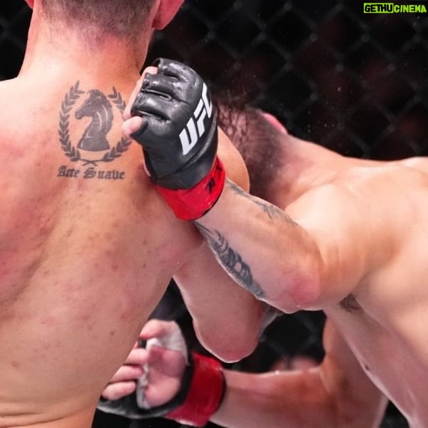 Bruno Silva - 711 Likes - “There is a driving force more powerful than steam, electricity and atomic energy: the will”
“Há uma força motriz mais poderosa que o vapor, a eletricidade e a energia atômica: a vontade”
Albert Einstein
#ufc #mma #viral #champ