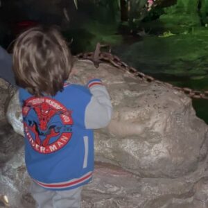 Caitlin McHugh Instagram - We had so much fun continuing the birthday celebrations at @disneylandparis !!! Billy’s favorite part was meeting the dragon. 🐉