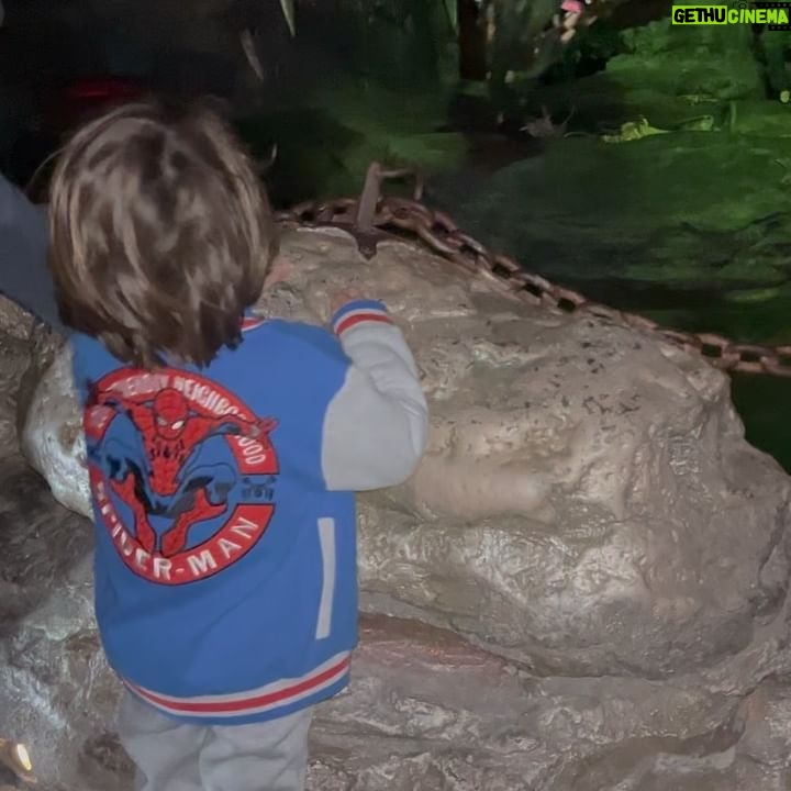 Caitlin McHugh - 12.1K Likes - We had so much fun continuing the birthday celebrations at @disneylandparis !!! Billy’s favorite part was meeting the dragon. 🐉
