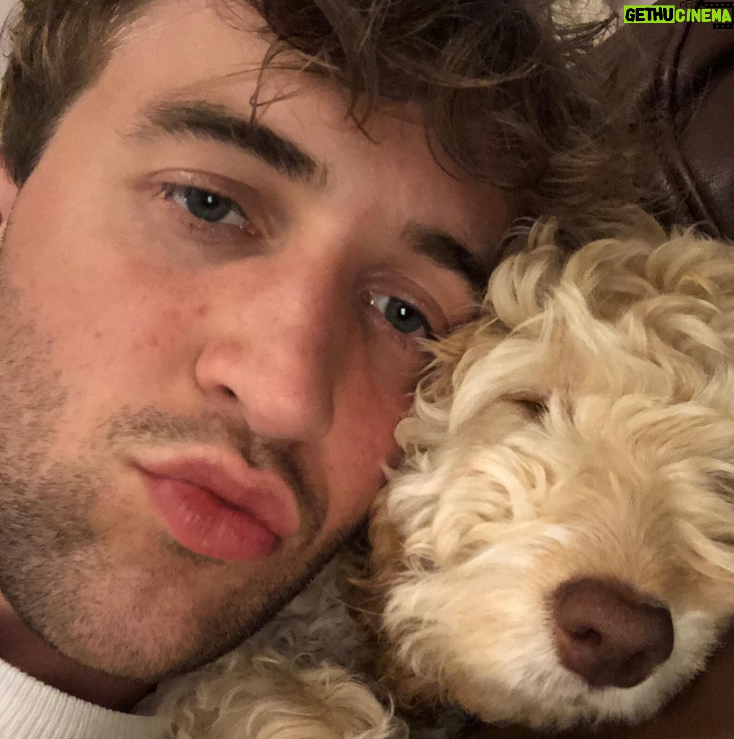 Callum Scott Howells - 22.6K Likes - DEWI APPRECIATION POST ❤️
Yesterday my boy turned 1 and today it’s #LoveYourPet Day. So today I’m channeling all my love towards Dewi and all the bloody beautiful doggos around the world. They are full of love and we need to protect them at all costs.
🐶
P.s. check out the amazing work @the_blue_cross do. They’re incredible.