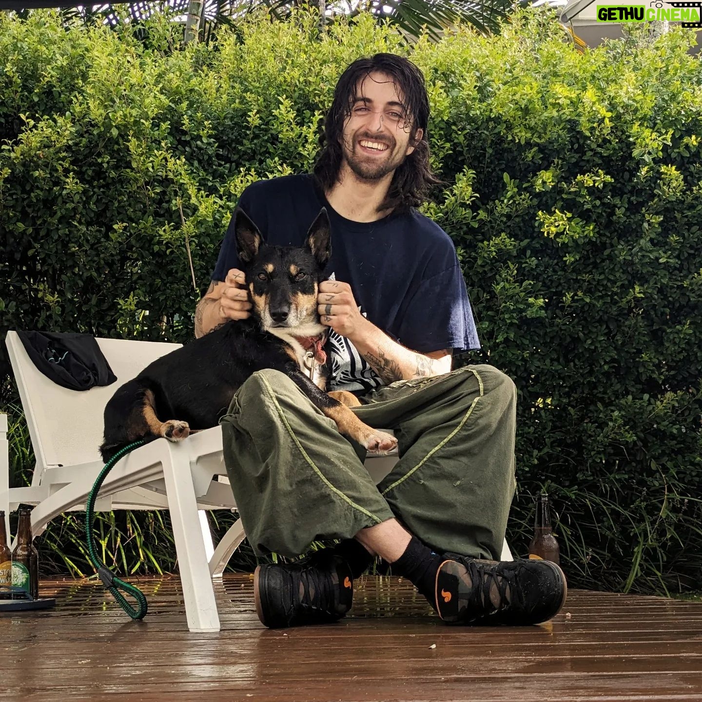 Cameron Cole - 673 Likes - Chilling with Chippy (@ruben_reeves dog) in Byron Bay on my day off. See ya tomorrow Brisbane @thezoo.bne Last show down under before I go home.🤟🤟