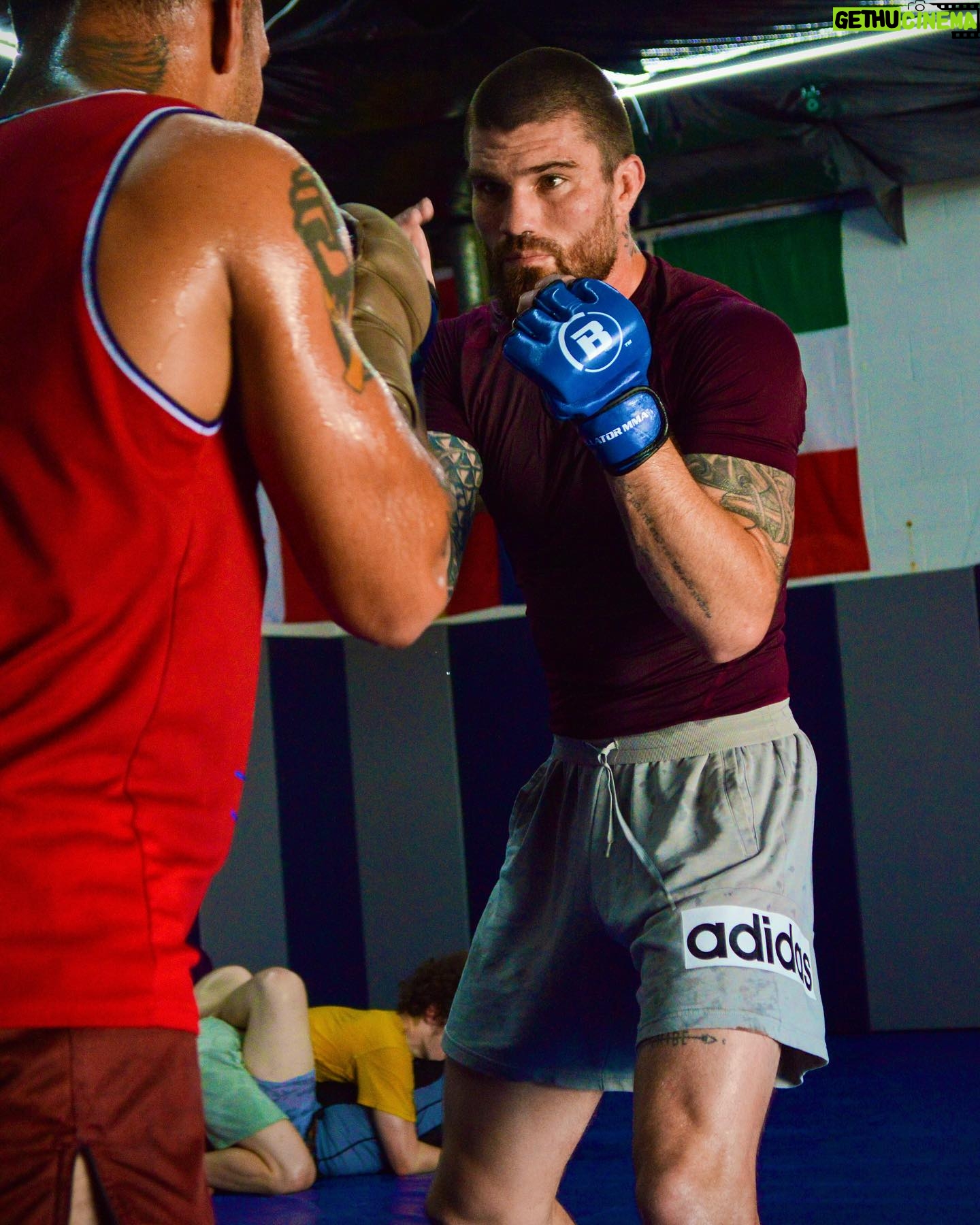 Cameron VanCamp - 3 Likes - Always working, always ready.
PC 📸 @jayrmma_photography
•
•
•
•
•
•
#fighting #mma #boxing #bkfc #bjj #ufc #bellator #workout #jumpman