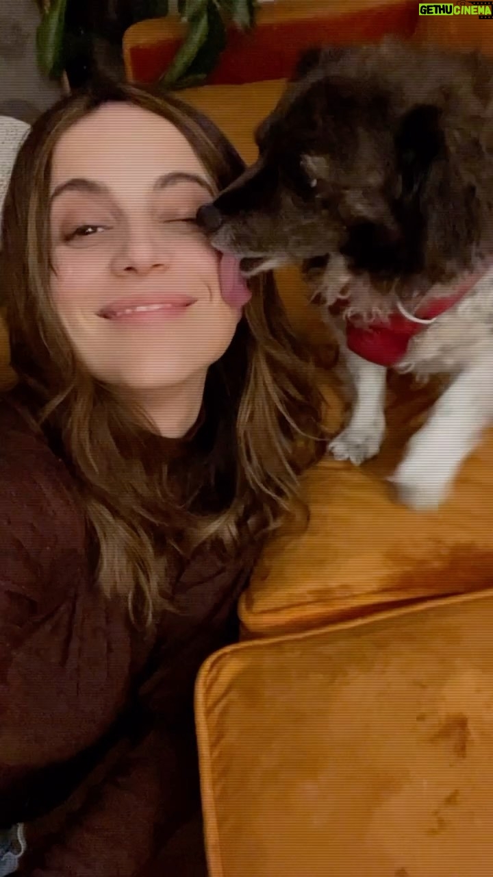 Camila Hirane - 4.3K Likes - DΓa del perro con mi Nina @clubdeperrosygatos.cl