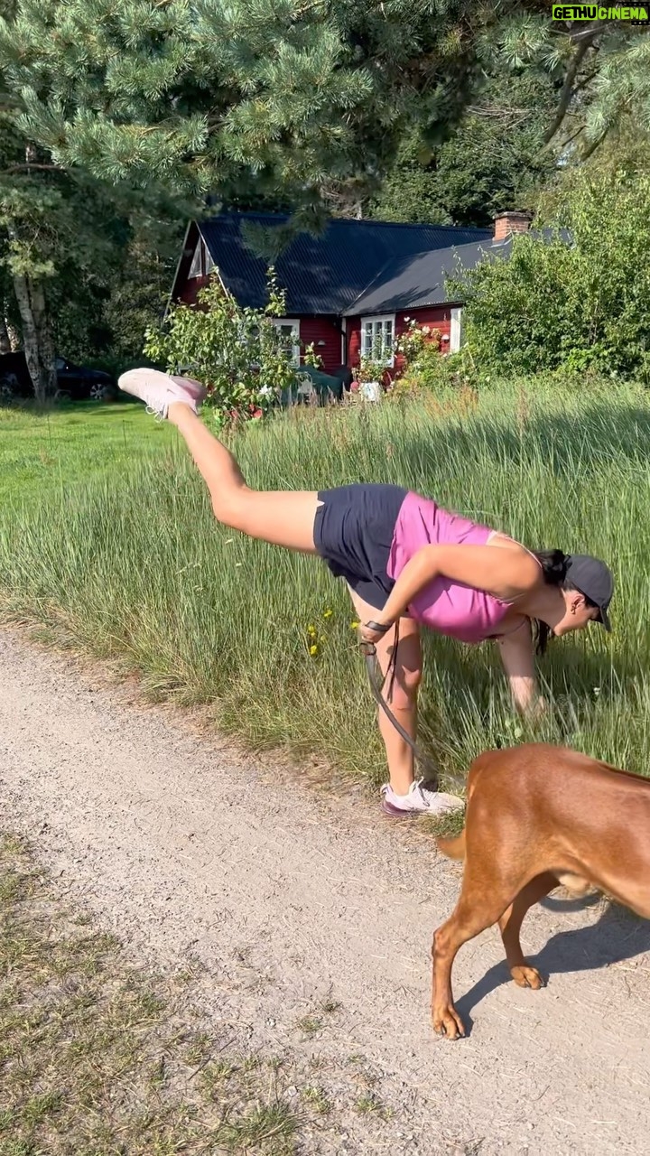 Carin da Silva - 34.9K Likes - OS-grenar i verkligheten DEL 1
Rytmisk gymnastik vs Hundpromenad
Vilka mer OS-grenar vill ni se??? šš½šš½šš½