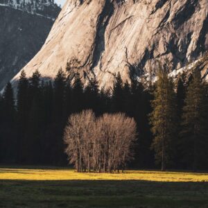 Carlo Traversi Instagram - The last few months 📸….

Took a little break from posting.  Needed a little reset and time to think about my underlying motivations for sharing.  And more importantly the motivations for capturing in the first place.  As demand for content grows and supply picks up to meet it, it’s hard to not feel like the things we create become less valuable.  More recently I felt the need to hold onto the things I’ve captured so they feel more important and personal.  There’s probably some truth to both of those sentiments but they run contrary to community.  They can also stifle creativity.  Moving forward I would like to start sharing a bit more but I’m unsure of the avenue.
