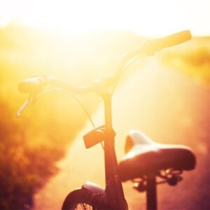 Carlos Nóbrega Instagram - Rutas escondidas. Atardeceres bonitos. ⠀
🚲🌅🌲🌳⠀
⠀
⠀
⠀
⠀
#nature #naturephotography #sun #sol #sunsets #sunsetphotography #pordosol #bici #bicicleta #bicicletas #paseo #fryay #friyay #viernes #friday