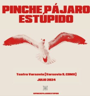 Carmen Becerra Instagram - ¡No te pierdas Pinche Pájaro Estúpido!

Acompáñanos a disfrutar de esta brillante adaptación de “Stupid Fucking Bird” de Aaron Posner, dirigida por el talentoso Rodrigo González, en el Nuevo Teatro Varsovia. La obra es una reflexión irreverente y contemporánea sobre el amor, el arte y la vida misma, donde personajes apasionados luchan por encontrar significado en un mundo caótico y absurdo.

🗣️👥 **Elenco:**
- Carmen Becerra
- Paco de la O
- Jorge Escandon
- André Bernat
- Marlen Diez
- Karen Flores
- Modesto Magallanes

🗓️ **Fechas y Horarios:**
- Viernes: 8:00 pm
- Sábado: 7:00 pm
- Domingo: 6:00 pm
Desde el 19 de julio hasta el 11 de agosto.

📍 **Lugar:**
Nuevo Teatro Varsovia
Calle Varsovia Número 9, Alcaldía Cuauhtémoc, Colonia Juárez, Ciudad de México.

🎬 **Tráiler Exclusivo:**
No te pierdas nuestro tráiler exclusivo en nuestra página de Instagram [@pinchepajaroestupido](https://www.instagram.com/pinchepajaroestupido) y vive un adelanto de esta fascinante producción.

🎟️ **Compra tus Boletos:**
- En Ticketmaster: [Compra aquí](https://www.ticketmaster.com.mx/search?q=pinche pajaro estupido)
- En la taquilla del teatro Varsovia
- WhatsApp: ‪56 4765 2792‬

🎟️ **Promociones:**
¡Aprovecha nuestras promociones de 2x1 en Ticketmaster todos los jueves! 

#Teatro #Cultura #RodrigoGonzález #Promoción #2x1 #NuevoTeatroVarsovia #CDMX #TeatroMexicano #Espectáculos #Arte #ObraDeTeatro #TemporadaTeatral #Entretenimiento #Dramaturgia #Actuación #EscenariosMexicanos #EventosCDMX #VidaNocturna #PlanDeFinDeSemana #TeatroContemporáneo #ArteEscénico #CulturaCDMX #TeatroIndependiente #ArteMexicano #TeatroEnCDMX #AgendaCultural #TeatroUrbano