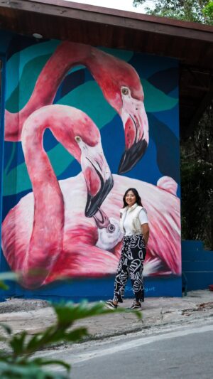 Carol Wang Instagram - Esse foi o resultado da arte da familia de Flamingos 💕🦩 E vocês sabem que filhote de ave é essa próxima ? 🎨
.
.
#flamingo #aves #arte #mural #graffiti #pintura