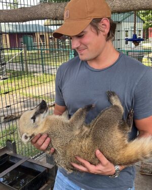 Carson Boatman Instagram - My new buddy, Dom. A #coatimundi from @wildanimalsafarimo