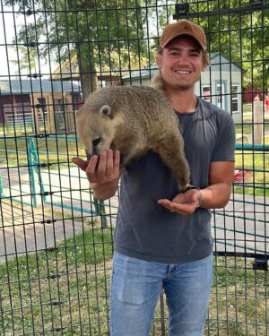 Carson Boatman Instagram - My new buddy, Dom. A #coatimundi from @wildanimalsafarimo