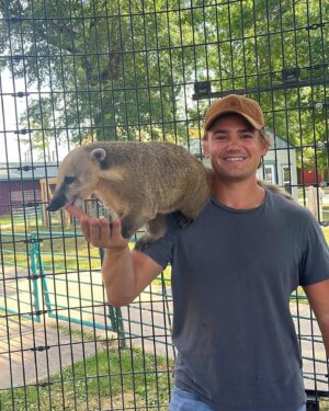 Carson Boatman Instagram - My new buddy, Dom. A #coatimundi from @wildanimalsafarimo