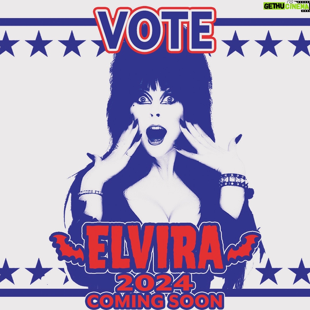 Cassandra Peterson - 46.6K Likes - Vote for Elvira, the ultimate ghoul ally, and let’s make this Halloween— err, election — one to remember! 💋🎃 Stay tuned for @elvirasbootiqueofficial ‘s spine-tingling campaign merch, coming soon! 🖤 #ELVIRA2024 #VoteElvira