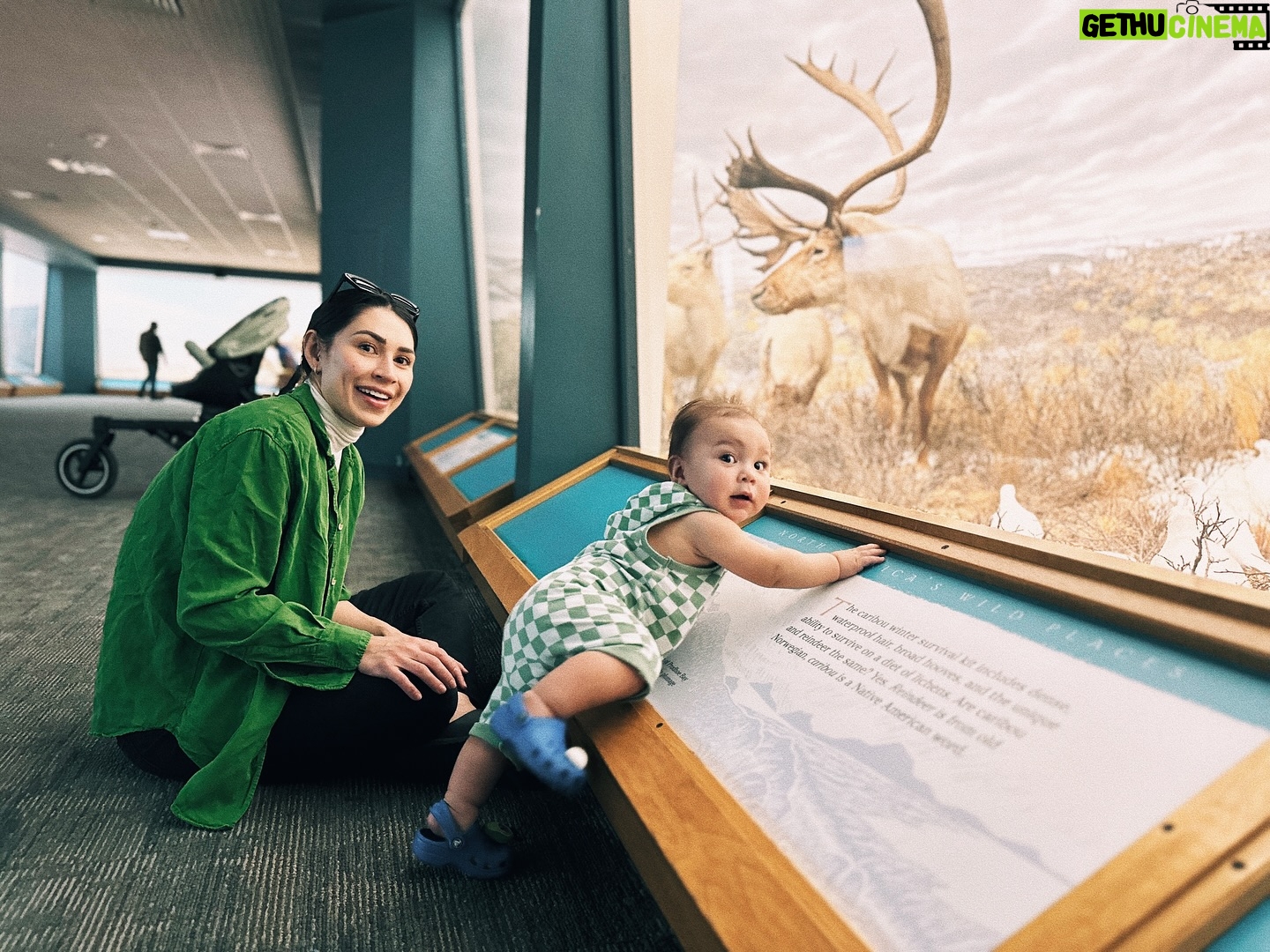 Cassie Steele - 12.2K Likes - It was between Burning Man and the Museum of Nature and Science. #familyday #denver #museumofnatureandscience #momlife