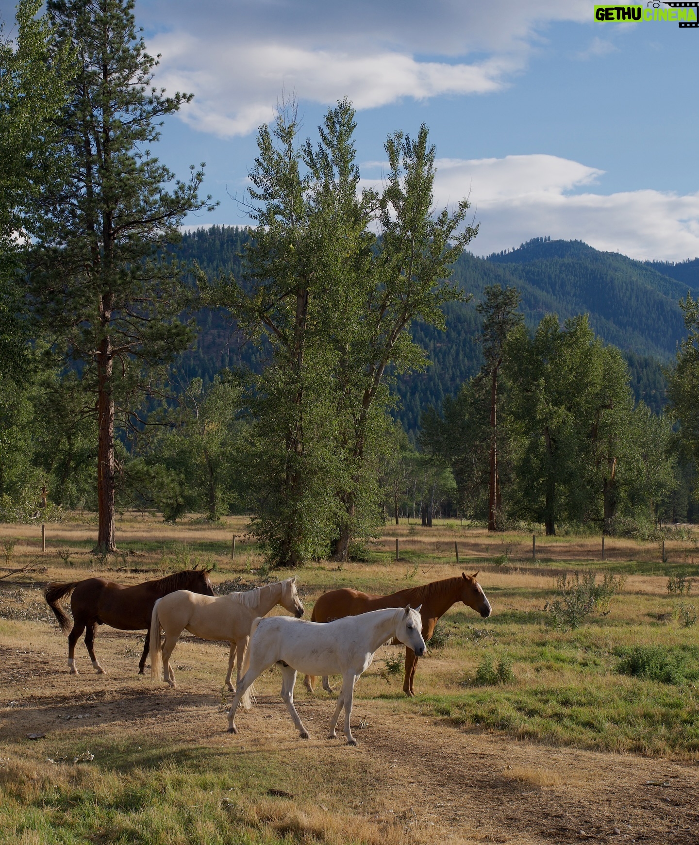 Catherine Paquin - 10.7K Likes - Save a horse … 🐴🤎
Depuis que j’ai écouté Yellowstone avec mon chum c’était un rêve de venir ici et de monter à cheval !! ✨ Un incontournable dans cette destination si tu as toujours voulu devenir un cow-boy!! 🤠 @visittheusa #VisitTheUsa #invitation