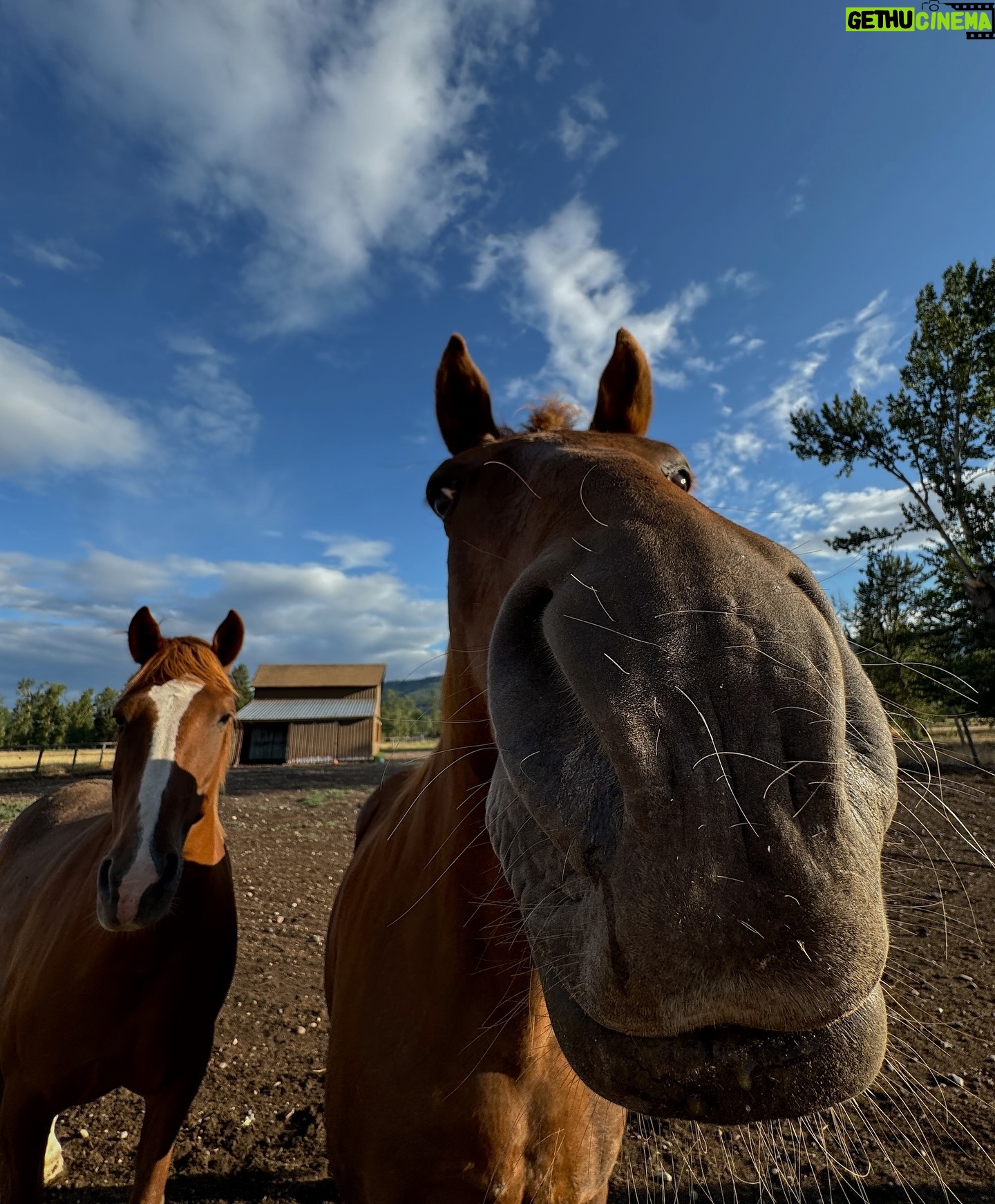 Catherine Paquin - 10.7K Likes - Save a horse … 🐴🤎
Depuis que j’ai écouté Yellowstone avec mon chum c’était un rêve de venir ici et de monter à cheval !! ✨ Un incontournable dans cette destination si tu as toujours voulu devenir un cow-boy!! 🤠 @visittheusa #VisitTheUsa #invitation