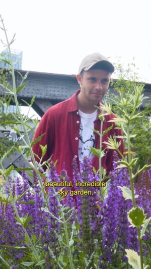 Ceallach Spellman Instagram - Friends, there is an urban sky garden coming to an iconic Viaduct in Manchester and I for one am very excited.
 
Bringing the natural world back into our cities as much we can is of paramount importance. Extraordinary projects like this are essential in helping wildlife and plants to thrive, while also re-connecting us to nature.
 
This viaduct was once an unused industrial space in the centre of the city, connecting numerous parts of Manchester City centre. It has now been transformed by @nationaltrust into a beautiful sky garden – a healthy habitat for animals and insects to visit and for people to escape to a little green oasis too 🌱
 
In partnership with @bbcearth #OurGreenPlanet, join me on a tour around the new space, where I was lucky enough to lay down some plants and learn how this community based project is transforming the urban environment for good. I'm a proud Mancunian right now and can’t wait to get back and enjoy the bridge when it’s finished!
 
If you’re in Manchester please do head down, breathe it in and let me know what you think!
 
#OurGreenPlanet #GenerationGreen #UrbanGreening #Protect #Restore #Plants #Nature #ad
 
In association with Moondance Foundation