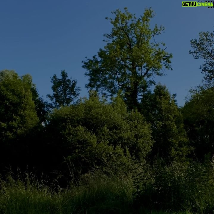 Cédric Pantegnies - 13.7K Likes - Wanhoop