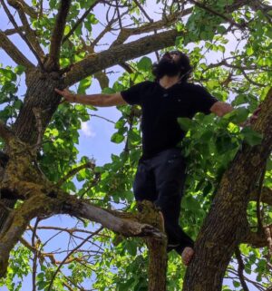 Cemil Şahin Instagram - 🌳🍃👻