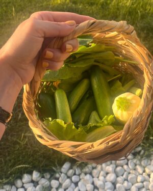 Ceren Moray Instagram - “Ben şehir kızıyım abi” iddiamı son derece gülünç buluyorum. Rokam ağlattı, kabakla neler olacağını düşlüyorum. Yine de aşırı cool olmak için elimizden ne geliyorsa yapacağız elbette aman diyim