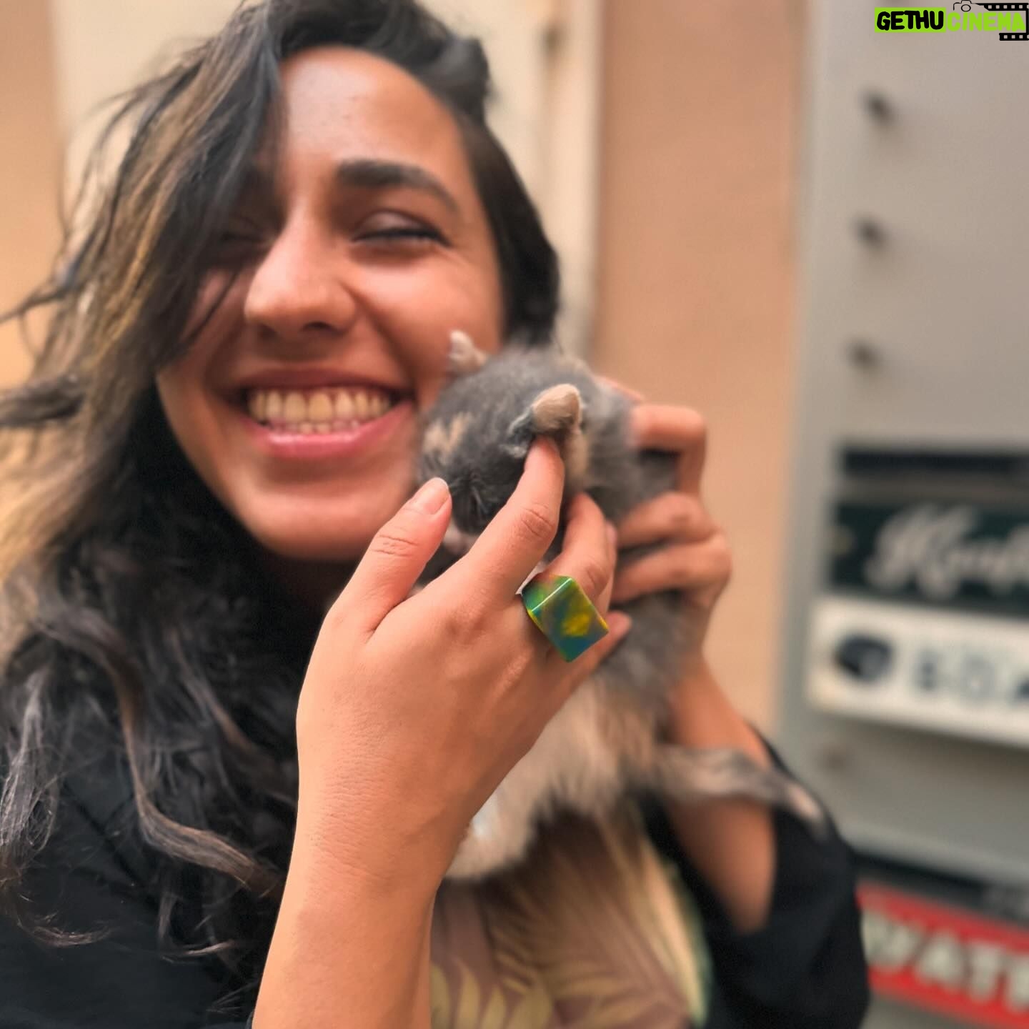 Ceren Taşçı - 2.9K Likes - Size biraz sokakta tanıştığım dostlarımla sevgi basmaya geldim.Sokaklar sizinle o kadar güzel ki❤️Size zarar veren yine insan,sokakları size zarar veren insanlardan temizlemek gerekiyor çünkü o insanın içindeki kötülüğü ve cehaleti besleyince ortaya çıkıyor şiddet.Bir hayvan eğer ona zarar vermez tehdit oluşturmazsanız size durduk yere zarar vermez.Sokakta sevdiğimiz bütün canlar bizimdir,sahipsiz değildir.
#yasayıgeriçek #yasadeğilcinayet #sokakhayvanlarısahipsizdeğil