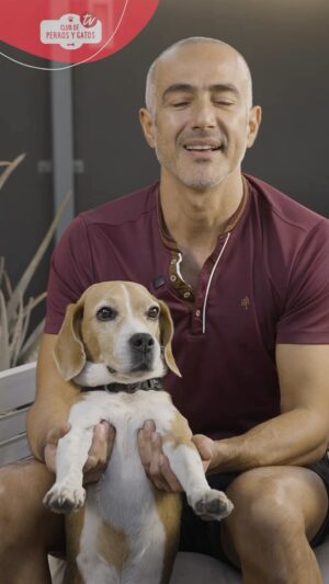 César Caillet Instagram - Este sábados en @clubdeperrosygatostv estaremos conversando con @cesarcaillet 🐶, con @fundacionandymar.cl representada por @fsolari70 y con @fundacionjulieta representada por @francorrals 🐶♥️😻, y tendremos una educativa conversación con la Doctora @dra.alicia_medvetarom Fundadora de @medvetarom 🐶😻😍☘️🌿🎄🐾🌳🌴🌵.

#clubdeperrosygatos #tenenciaresponsable #perros #gatos #amorincondicional