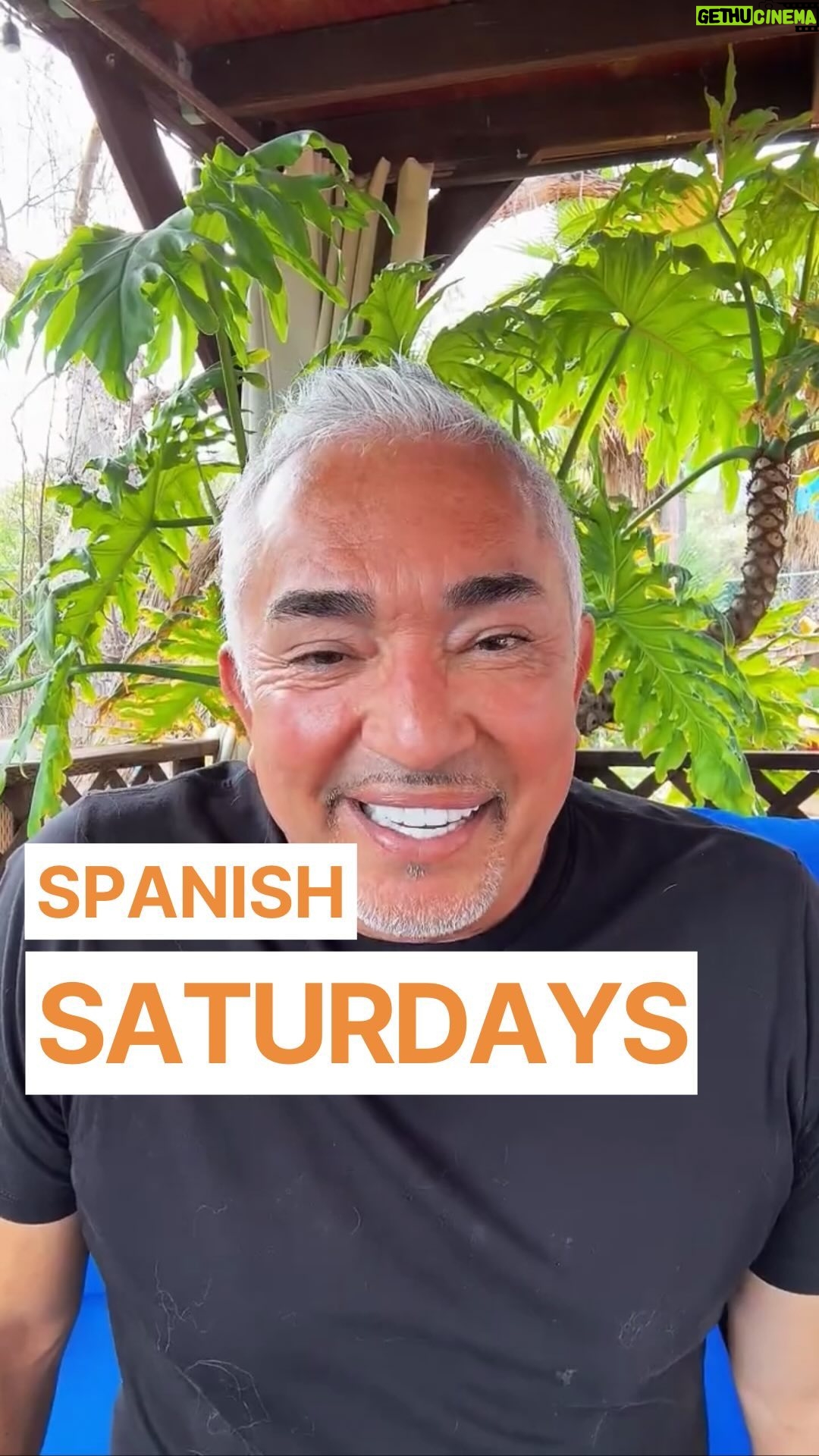 Cesar Millan - 15K Likes - SPANISH SATURDAYS!
La mente puede ser nuestra enemiga, hay que apagarla cuando nos haga ruido! Los perros nunca son los culpables, ellos reflejan nuestra energĆa.