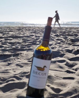 Chahub Marut Ghoummeddin Instagram - 🍷😎🍺 #oceanbeach #sanfrancisco #america
