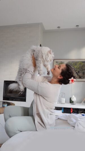 Charlène Bey Instagram - La réaction de Mowgli quand je chante 🥹💞 les chats sont trop précieux, c’est mon chat-gent de sécurité ! Je l’aime ma chouquette, il est trop mignon 😭🫶🏻 je voulais vous partager ce petit moment de notre quotidien qui arrive beaucoup trop souvent pour le garder que pour moi 😽💞 il est craquant hein??🥹