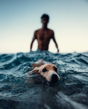 Charles Leclerc Instagram - flying ears and swimming fast
