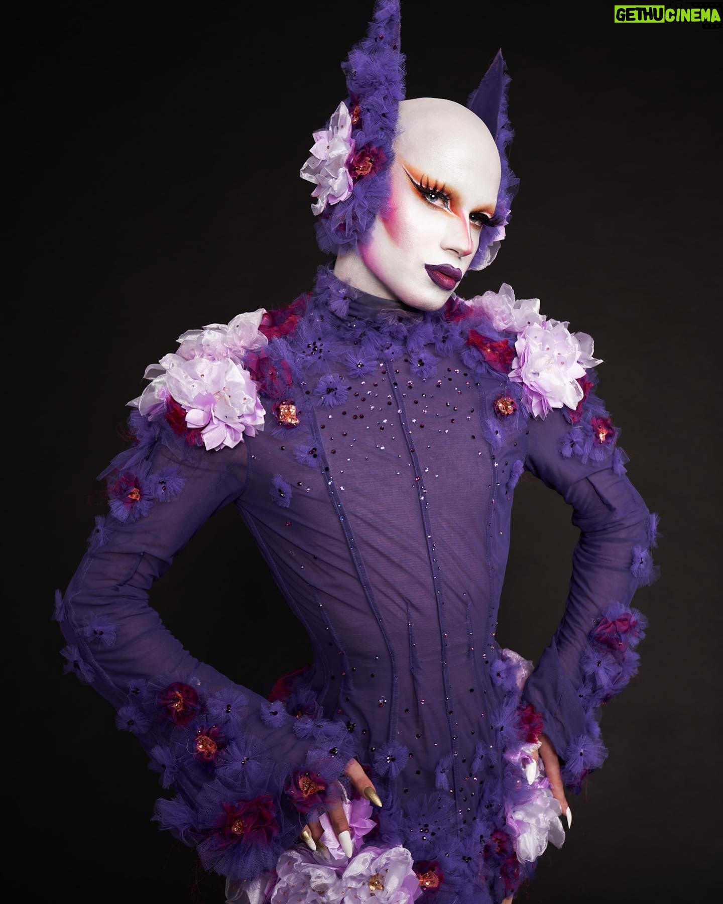 ChelseaBoy - 3.1K Likes - ⚛️ REBIRTH ⚛️
Shot by @cyrieljacobs
Dress by @jacobleole
#chelseaboy #xochelseaboy #drag #dragqueen #dragartist #costume #flowers #draglook