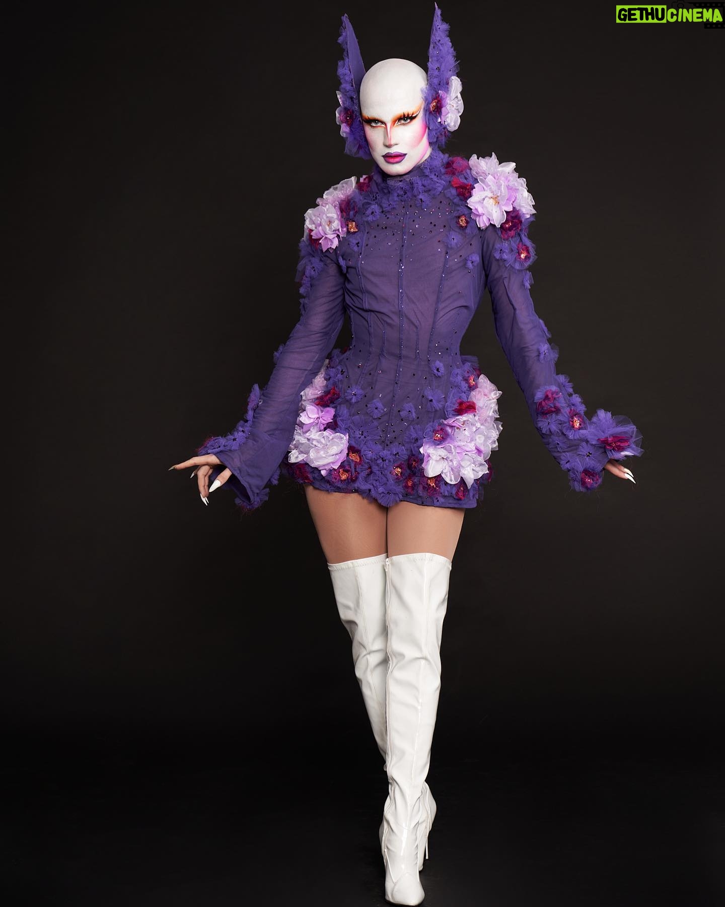 ChelseaBoy - 3.1K Likes - ⚛️ REBIRTH ⚛️
Shot by @cyrieljacobs
Dress by @jacobleole
#chelseaboy #xochelseaboy #drag #dragqueen #dragartist #costume #flowers #draglook