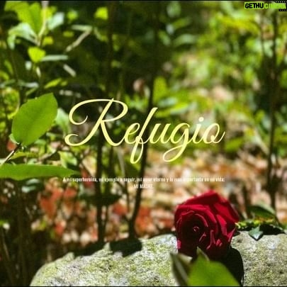 Chelsy García - 40.5K Likes - #REFUGIO . Le escribí esta canción a mi madre, con todo el amor del mundo; por ser mi verdadero refugio. Te amo muchísimo. @cheddyg 🥹💕Espero ustedes también la compartan con sus madres. Ellas lo merecen todo.
Está disponible en Youtube el video completo.
Gracias a mi musa por la inspiración, a @yoyo_prod_oficial @threesevenmusic por la producción musical de esta pieza, y todos los que me colaboraron para hacer este sentimiento realidad. @im_eithan y @shekinareality MIL GRACIAS!!!❤️❤️❤️❤️