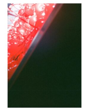 Chiang Chang-Hui Instagram - “In Between”
Concept/Photography: me
Talent: @kuanghanhsu 
#kodakportra400  #amber400d 
#olympuspenee3