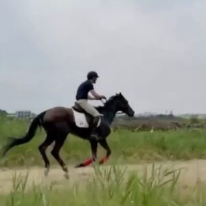 Choi Si-won Instagram - Masi rides Masi.