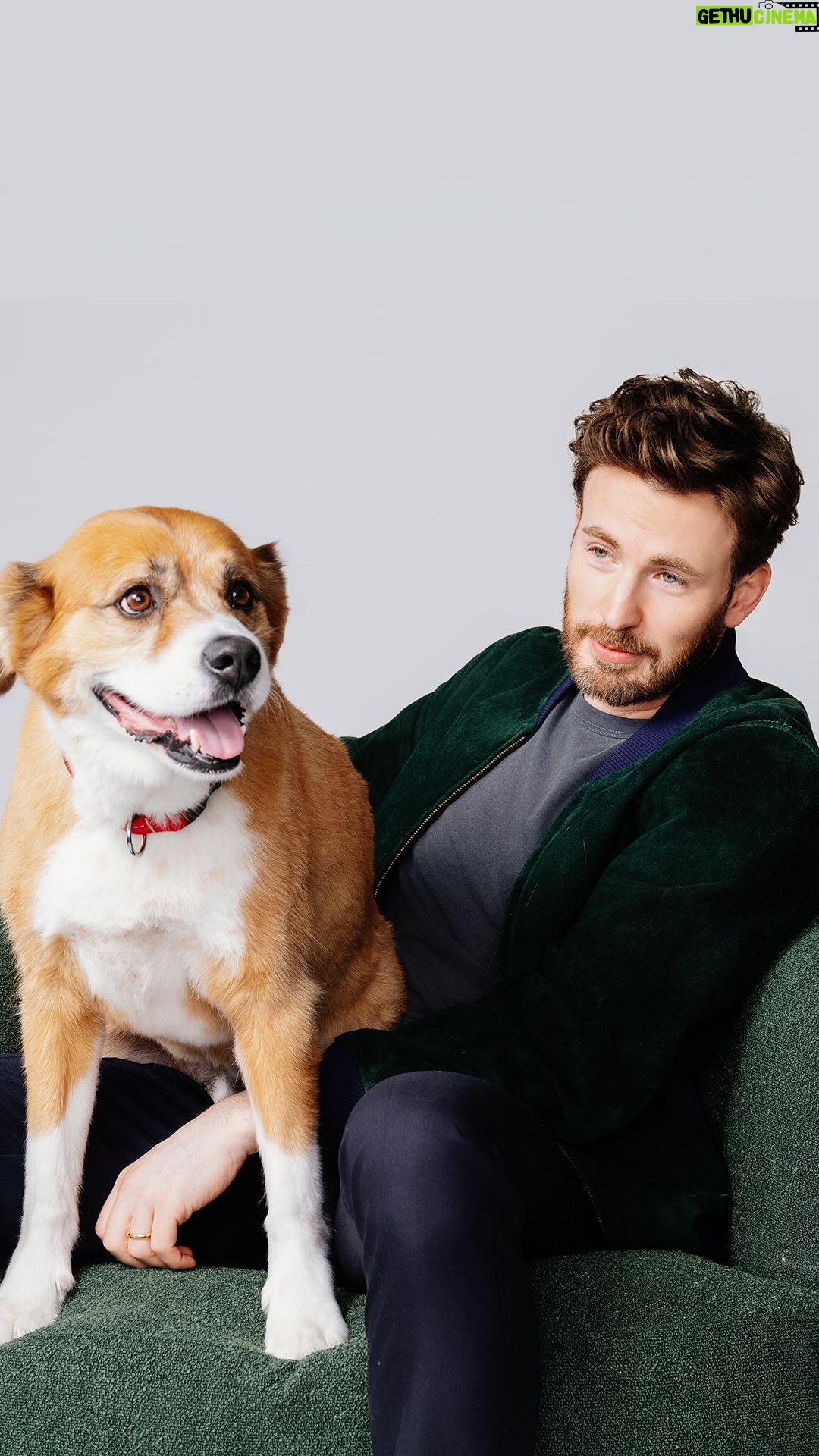 Chris Evans - 254K Likes - @chrisevans and Dodger trust Jinx for a reason – it’s all about premium nutrition with high-quality proteins and ingredients, and no fillers 🐾
Plus, with every Jinx purchase at Walmart this August and September, 5% goes to the USO to support programs that strengthen the well-being of U.S. service members and their families, including the USO Canine Program.
