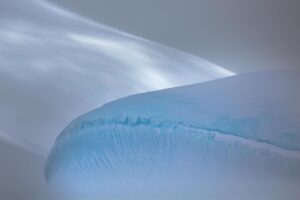 Chris Packham Instagram - Landscape 3 , Antarctica , 5D SR , 500mm F4 #canon #canonuk #wildlife #birds #antarctica #exodustravels