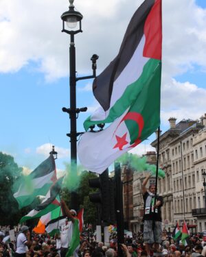 Chris Smalls Instagram - 8/6/24 London 🇵🇸