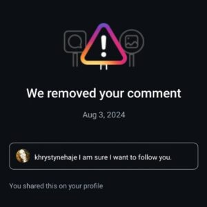 Christine Elise Instagram - My old Head of the Class friend @khrystynehaje commented what you see above under the post pinned to the top of my page - the post that shows how Instagram warns anyone who tags me or wants to follow me.  She simply posted - I AM SURE I WANT TO FOLLOW YOU. 
Instagram removed her comment and put her on a days long “time out” so she cannot comment on any post anywhere until her punishment ends.
1) can ANYONE explain why what she said warranted removal and 
2) I apologize to any of the rest of you that might have fallen victim to this ridiculous censorship