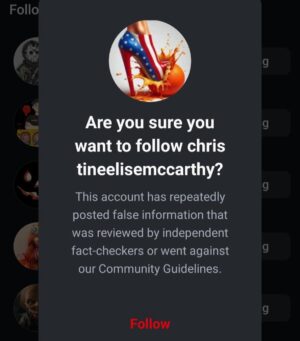 Christine Elise Instagram - I posted, deleted, posted and deleted an image that I was unsure of.  I decided to just fkn post it and got flagged like 6 times for “repeatedly posting false information.”

My new street name is Fox News.