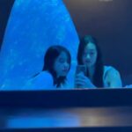 Chutimon Chuengcharoensukying