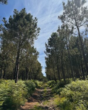 Clara Alvarado Instagram - OJALÁ seguir aquí 🩵🥂🌞🐚💚
QUÉ DÍAS por Galicia. 

El norte tiene todo lo que me gusta, todo el verde y todo el azul. Por no hablar del fresquito por las noches, el albariño en las cenas, el marisquito o los pimientos del padrón. Aunque sinceramente creo que la compañía ha sido lo mejor. 

He celebrado el cumple como quería desde el día que fue hasta el día de hoy, un buen cumple gitano en toda regla! 

Las “vacaciones” si así las puedo llamar diría que han sido demasiado cortas aunque haré todas las escapadas de finde que pueda durante el veranito. 

Feliz semana por aquí a tutti!! Y graciñas de nuevo por tanto mensaje bonito por el cumple (aún sigo contestando 🫶🏻).